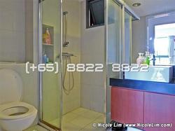 Blk 1D The Pinnacle@Duxton (Bukit Merah), HDB 4 Rooms #96042832